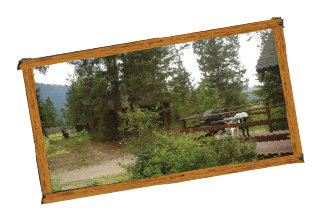 Addison's Bungalows - accomodations in Radium Hot Springs, BC